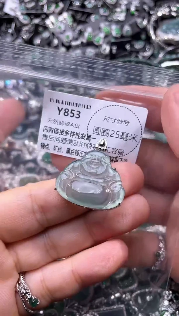 翡翠未镶嵌颈饰Y853吊坠