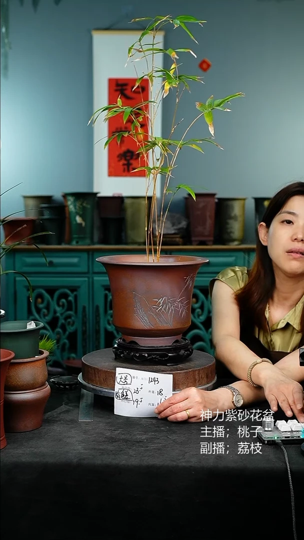 紫砂花盆1243+s颜色机选……