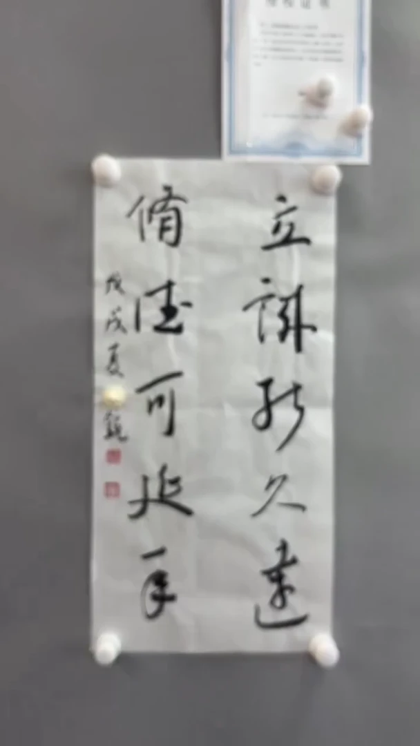 【闪购商品】书法雅艺典藏文化书法
