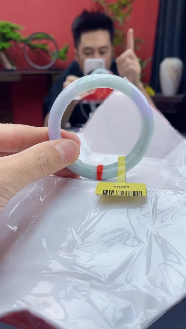 未镶嵌手镯翡翠13