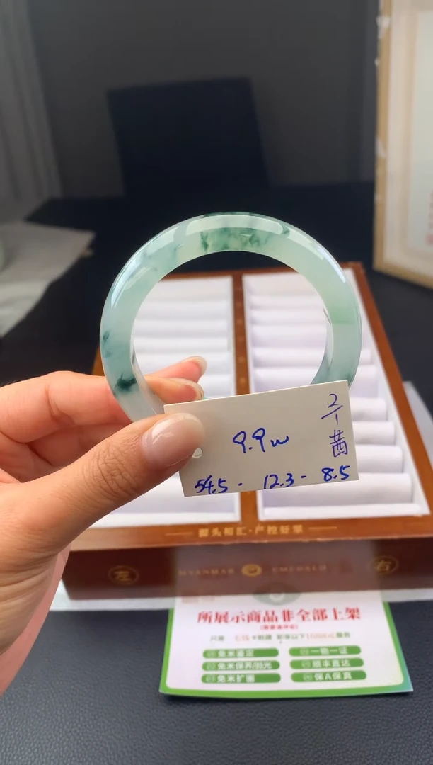 未镶嵌手镯翡翠假一赔三   手镯