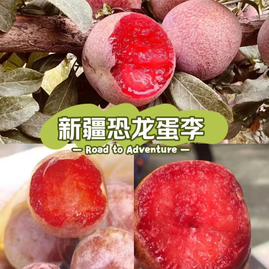 【新疆直发】新疆喀什恐龙蛋新鲜杏李现摘现发脆甜多汁（万果纪专属）