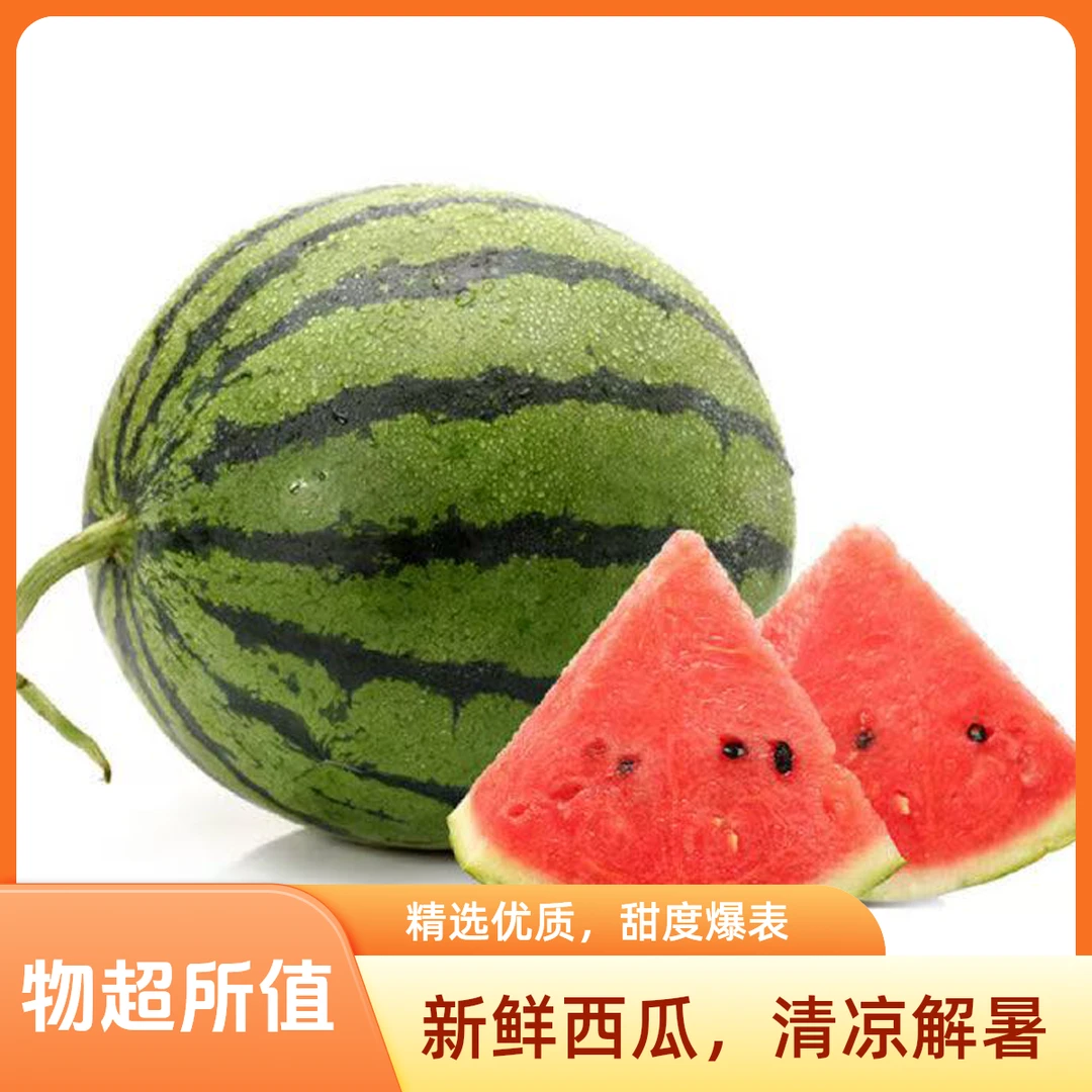 【顺丰包邮】正宗原苗麒麟西瓜河北省