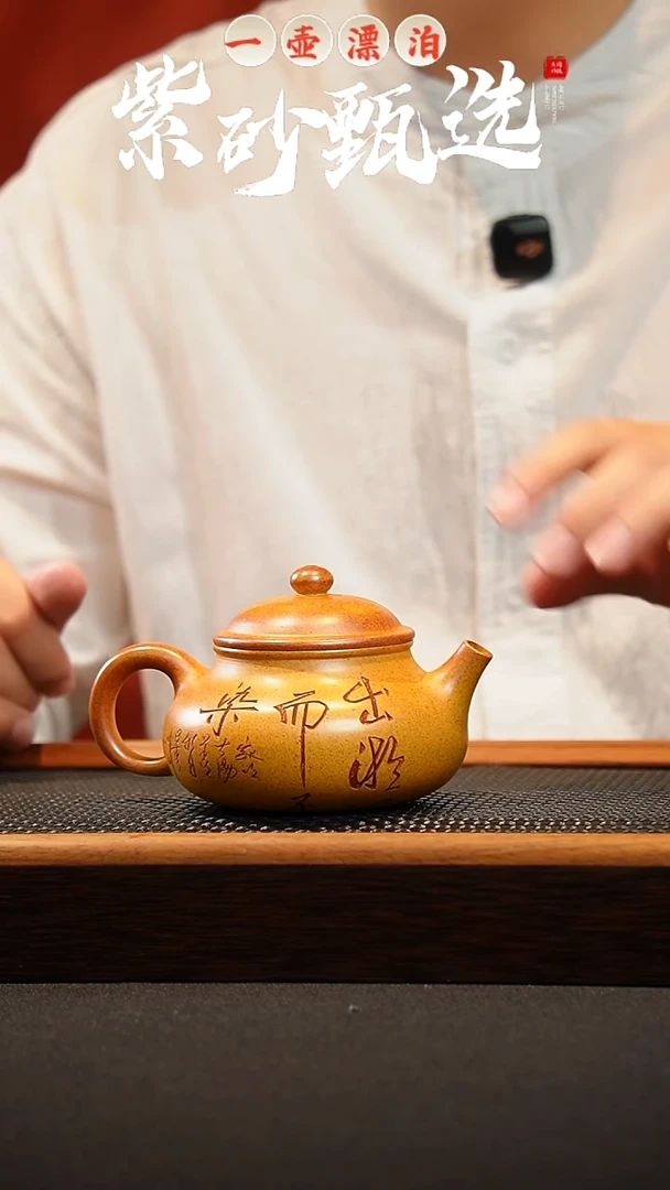 茶壶紫砂 一壶漂泊紫砂茶器