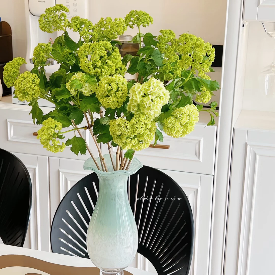 【花和优品】木绣球---鲜切枝