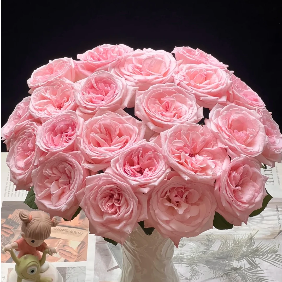 粉荔枝单头玫瑰【任意两单及以上升级顺丰】