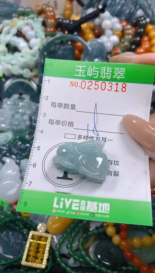 颈饰未镶嵌翡翠闪购0250318