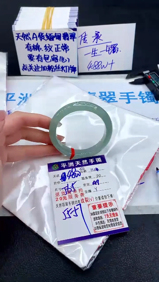 未镶嵌手镯翡翠11111111