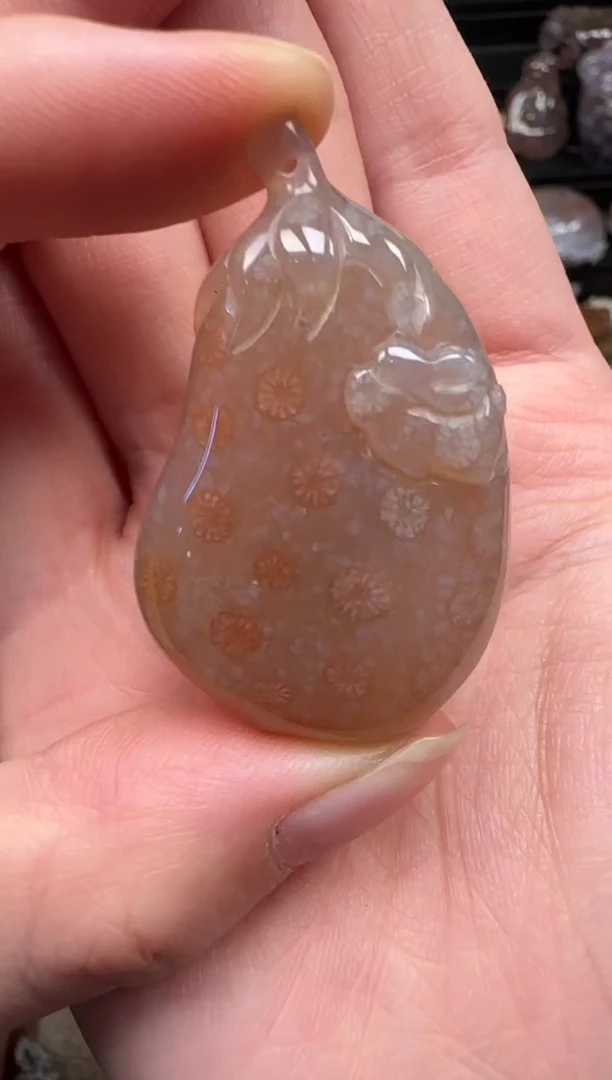 颈饰未镶嵌硅化珊瑚（珊瑚玉）663