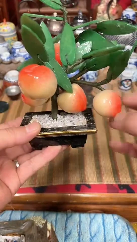 发发发发发发发发发
