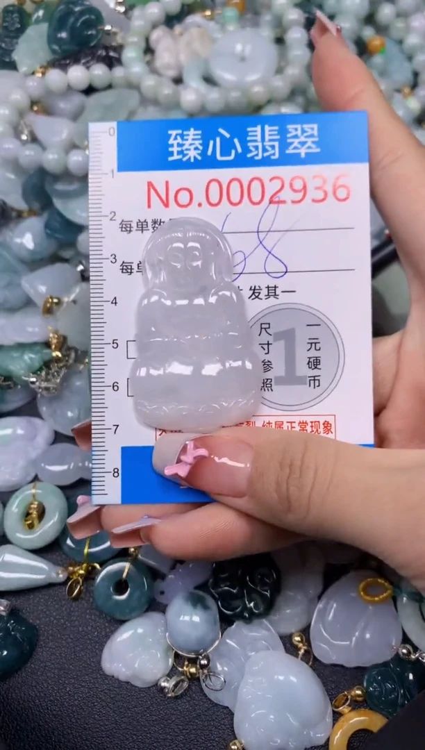 【闪购商品】翡翠颈饰未镶嵌含绳0002936