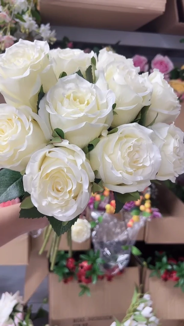 10枝白色洛神花花