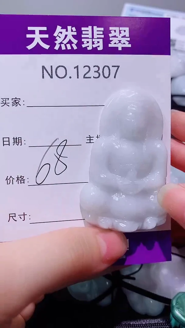 翡翠未镶嵌吊坠(赠链)307