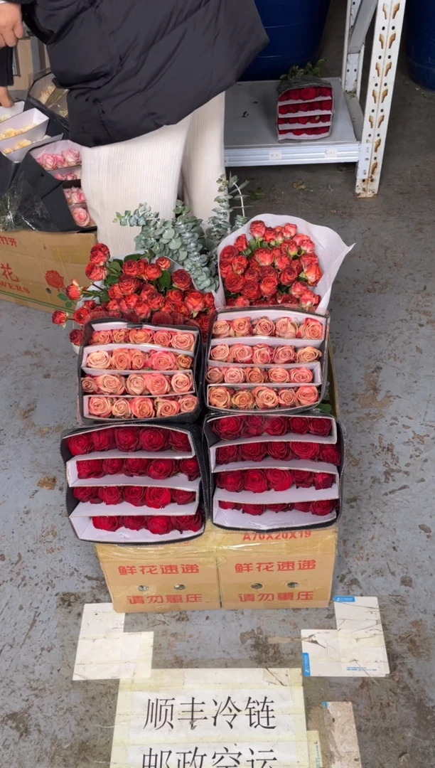 高原红20枝+卡布20枝+巧克力10枝+尤加利