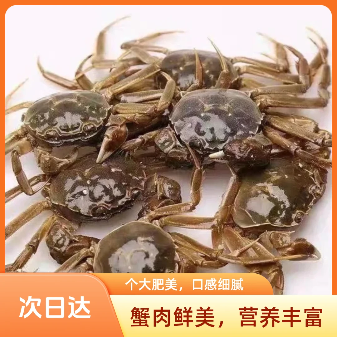 当涂水产螃蟹（1.4-1.7两每只）海鲜