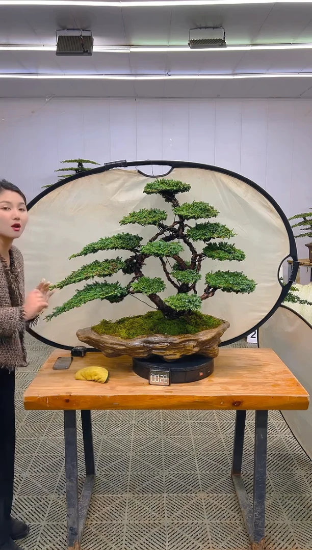 无花朵一物一拍一物一拍