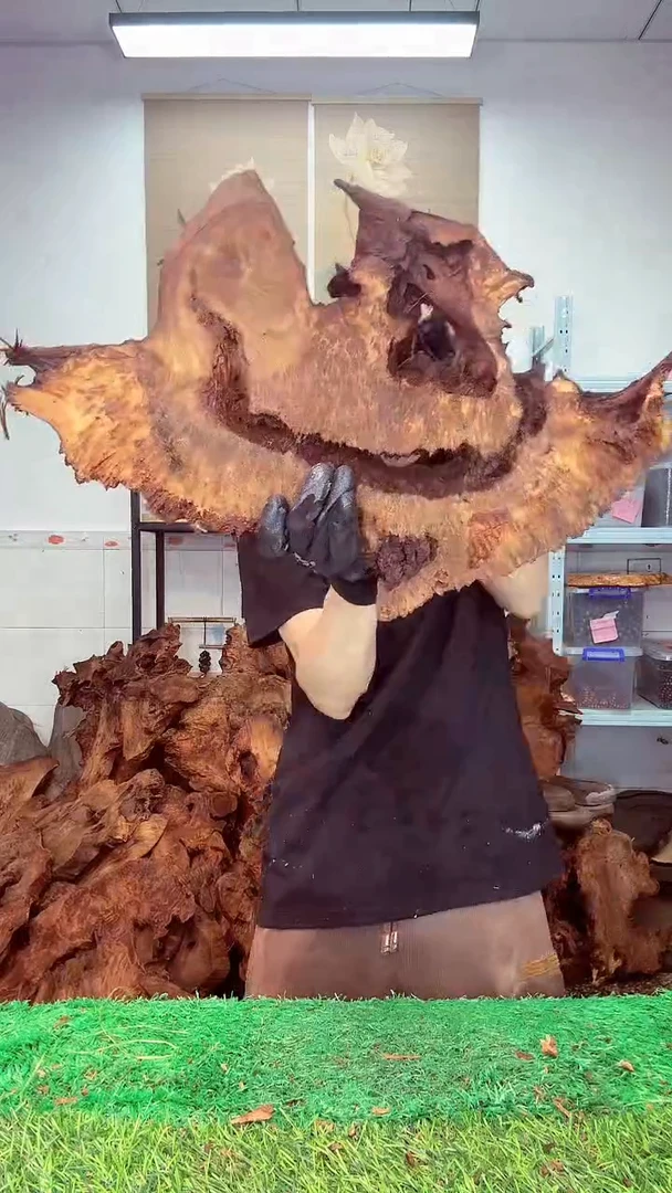 香杉木香杉老料271