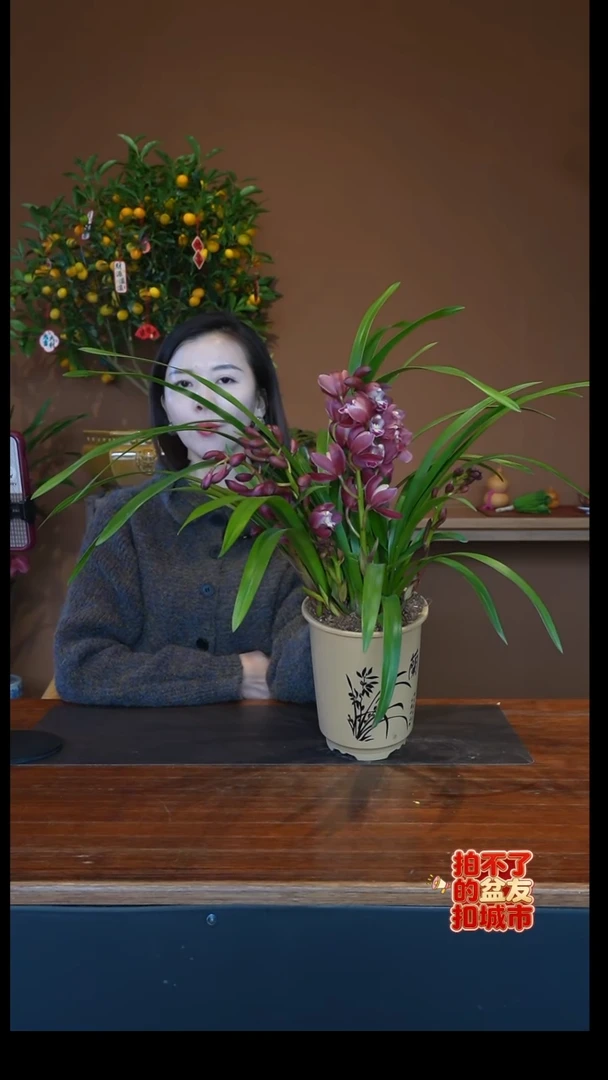 全部花朵红宝石杏色