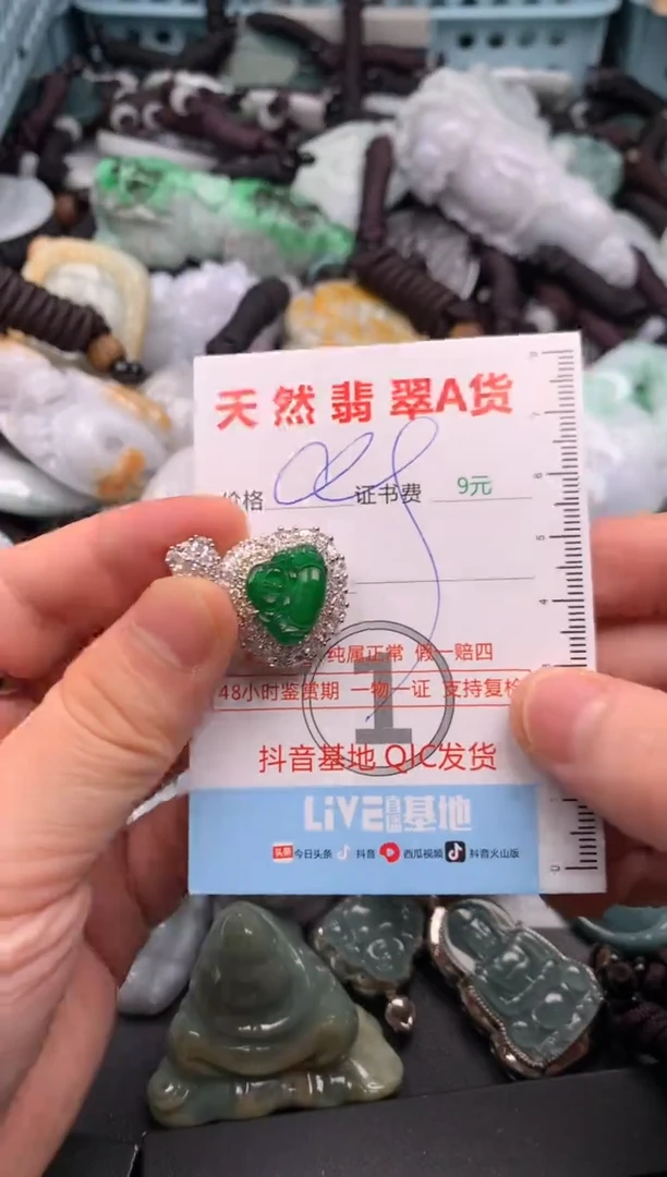 翡翠未镶嵌吊坠(不含链)1