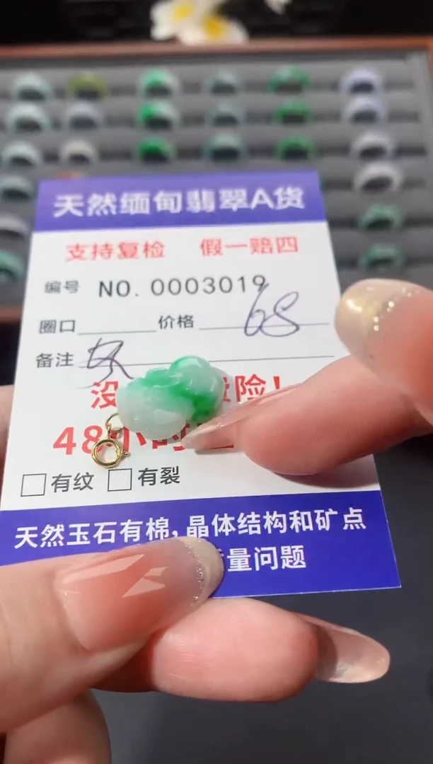 颈饰未镶嵌翡翠貔貅