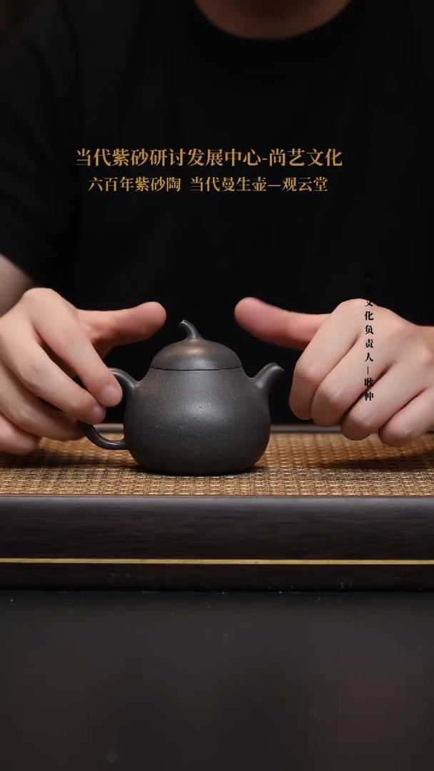 茶壶紫砂宜兴紫砂壶茄段壶天青