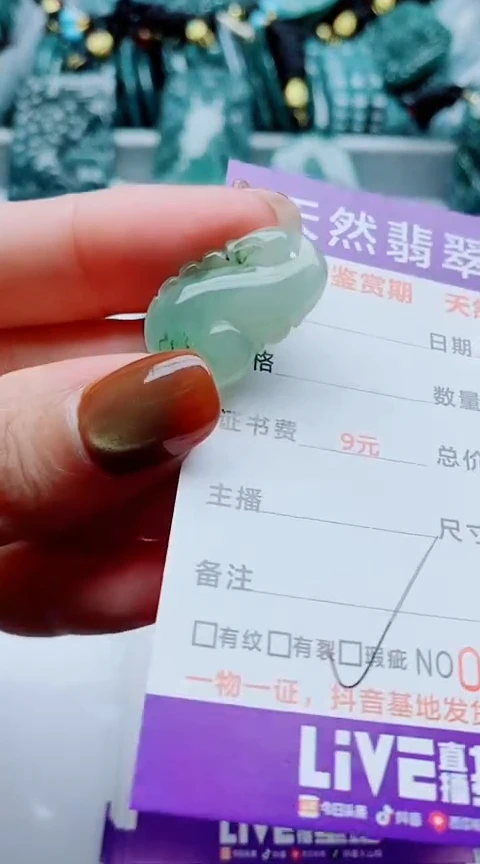 颈饰未镶嵌翡翠