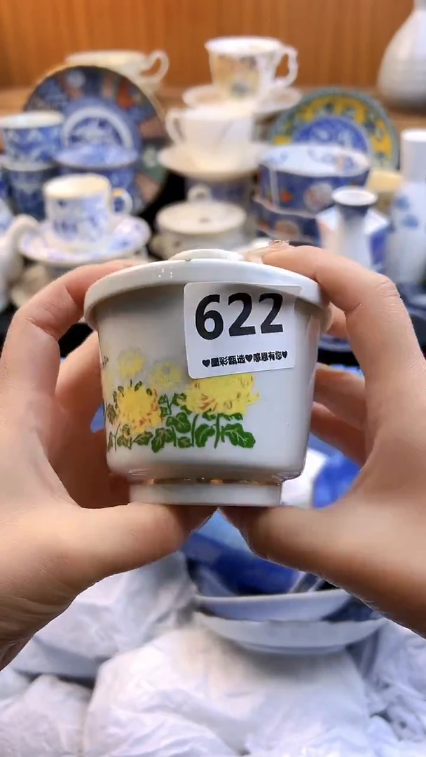 【闪购商品】瓷片622