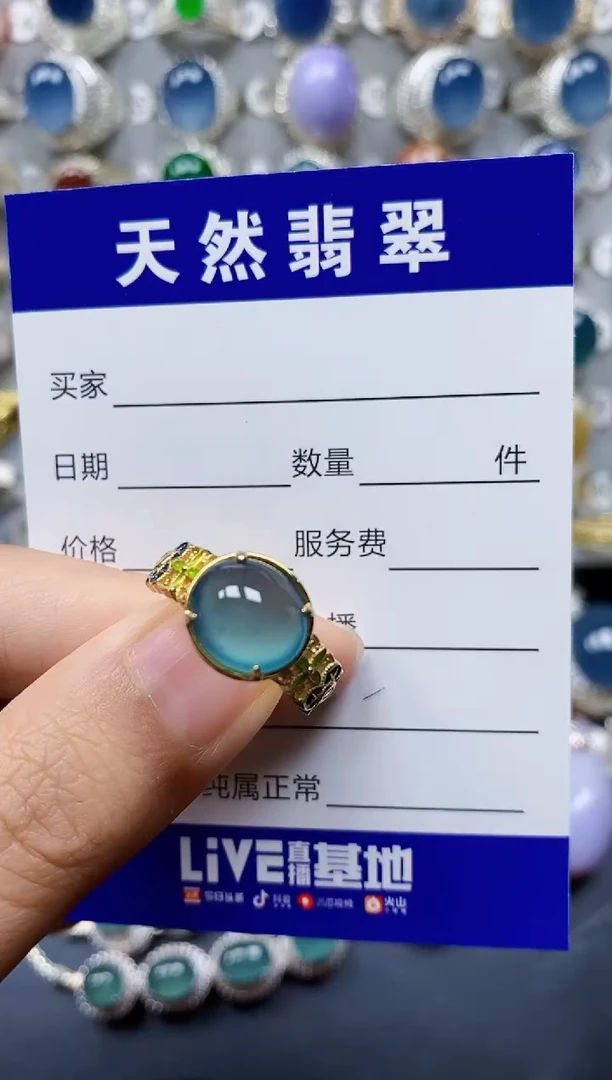 银S925镶嵌手链翡翠184