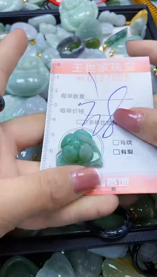 【闪购商品】翡翠颈饰未镶嵌闪购0197805