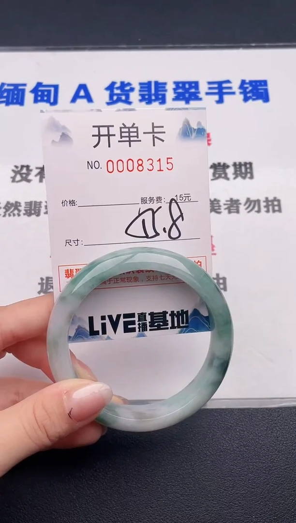 未镶嵌手镯翡翠15