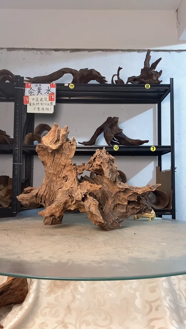 焦*?鱼缸爬宠造景素材762