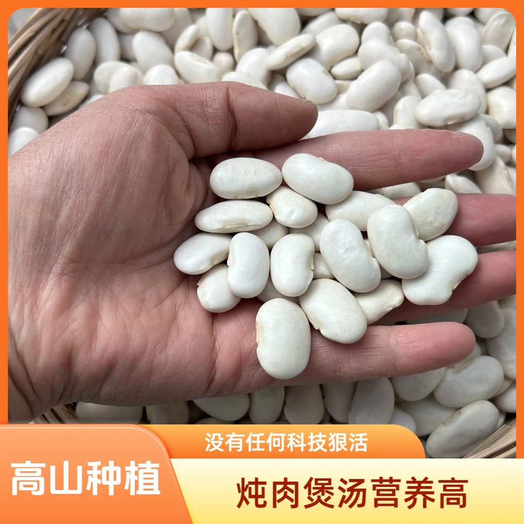 大白芸豆/大四季豆米 恩施高山老品种