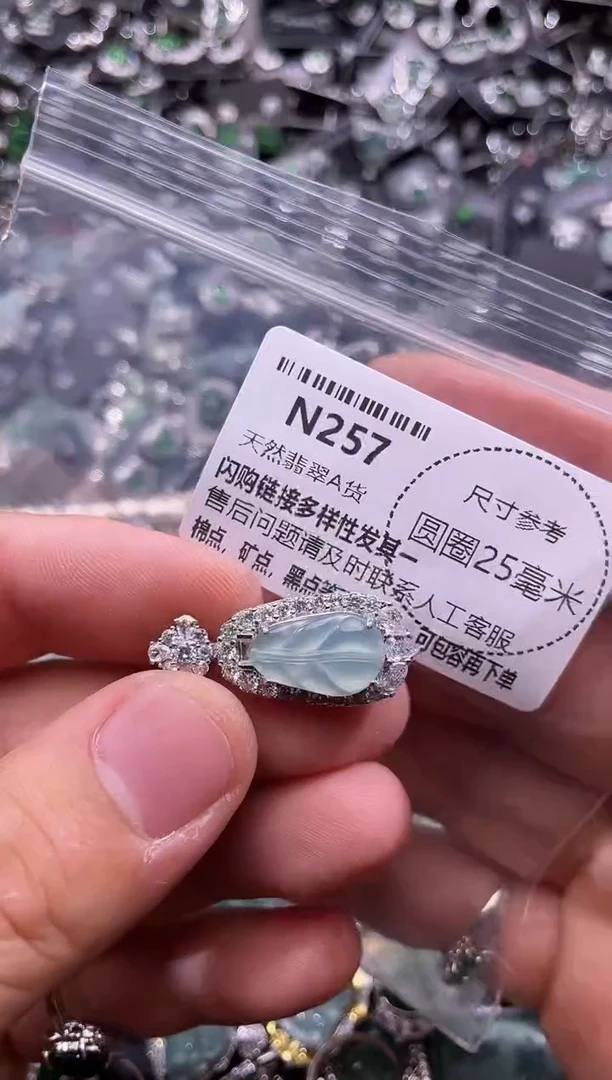 翡翠未镶嵌颈饰N257吊坠