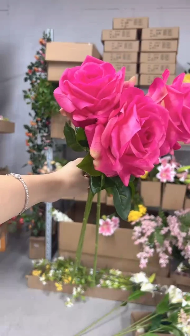 3枝玫红手感保湿海洋之歌