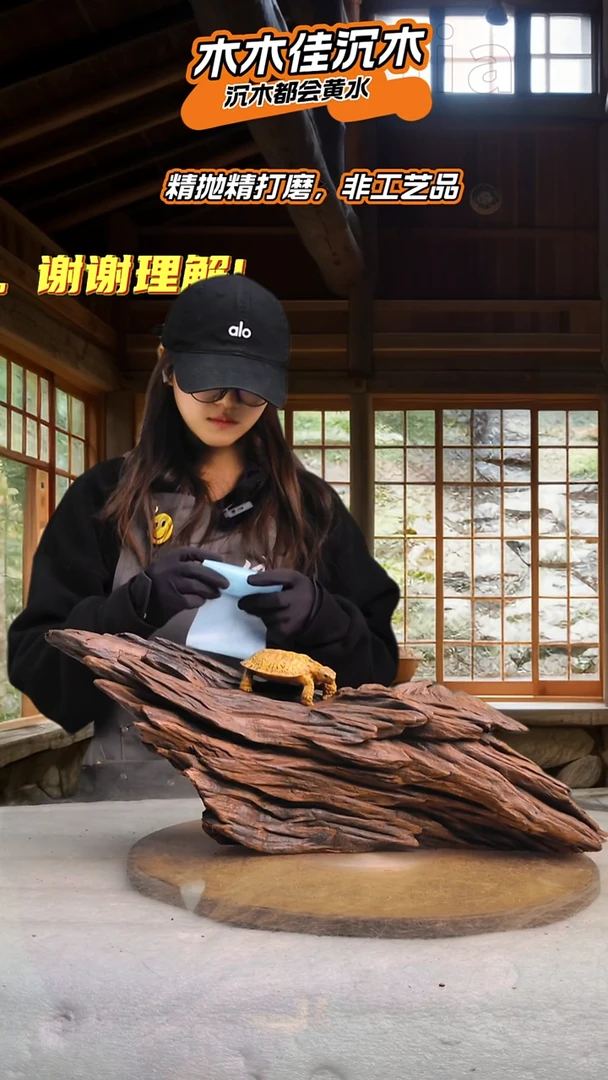 三**想木木佳沉木鱼缸造景-816