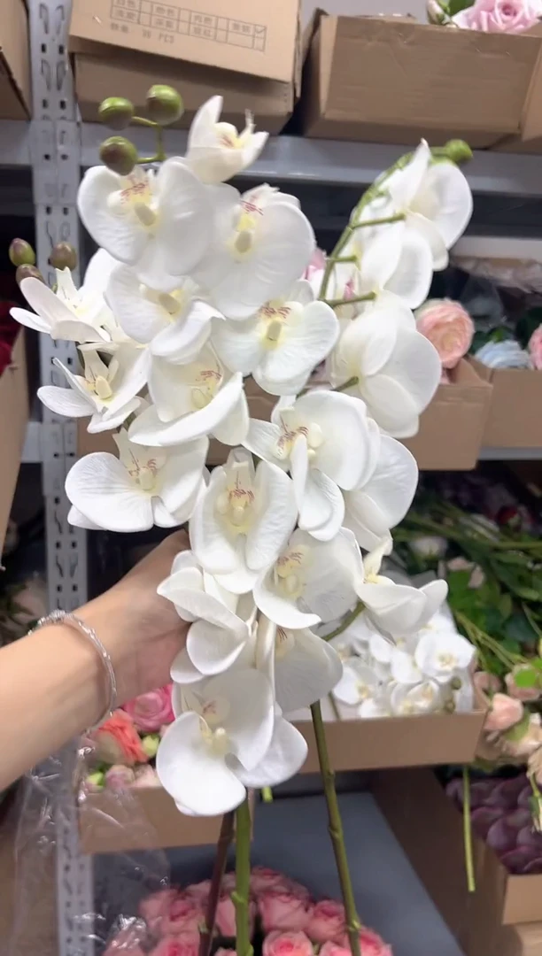 3枝白色手感保湿蝴蝶兰
