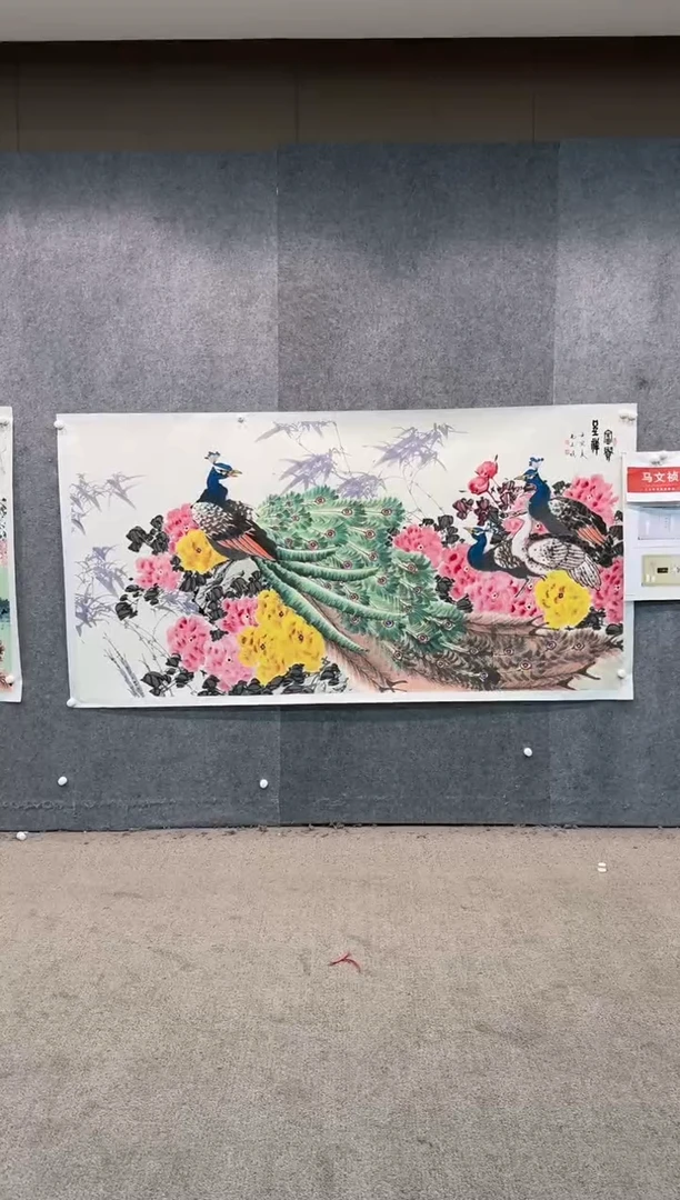 【闪购商品】国画pmw不二轩旗舰店国画MWZ6