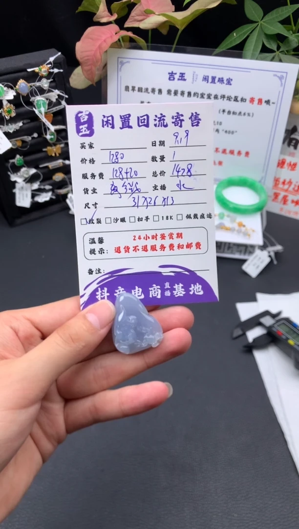 颈饰未镶嵌翡翠挂件