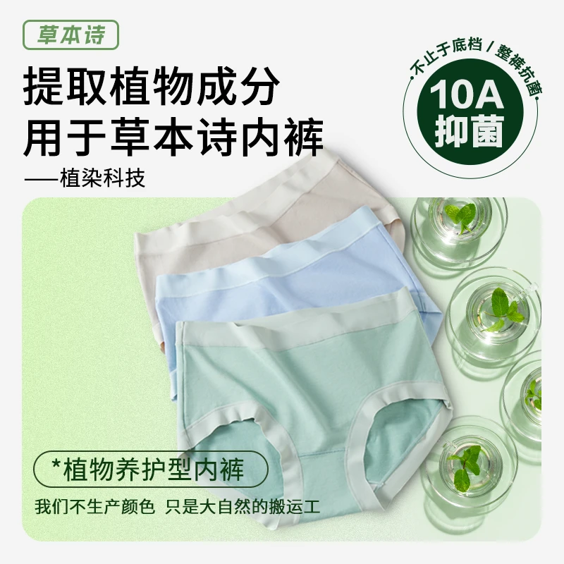 草本诗【植物染内裤】