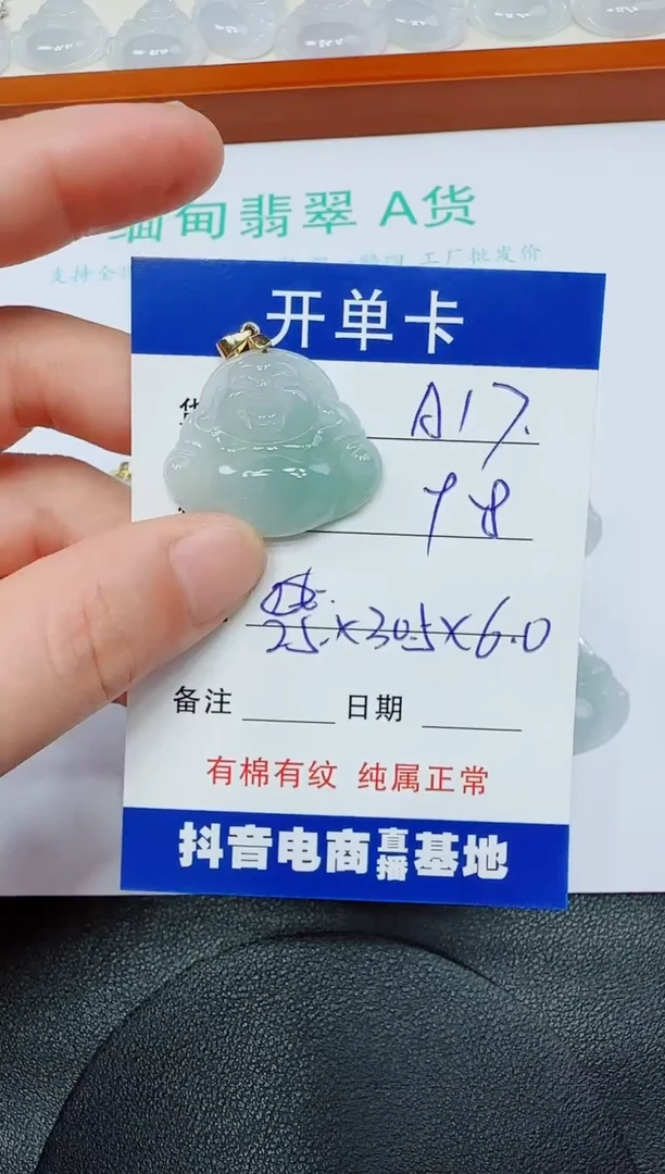 翡翠未镶嵌吊坠(赠链)A17