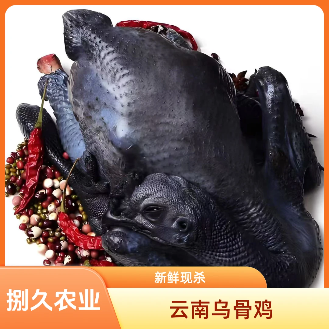 【顺丰空运带28项检测报告】散养乌骨鸡现杀整鸡赠200克干天麻