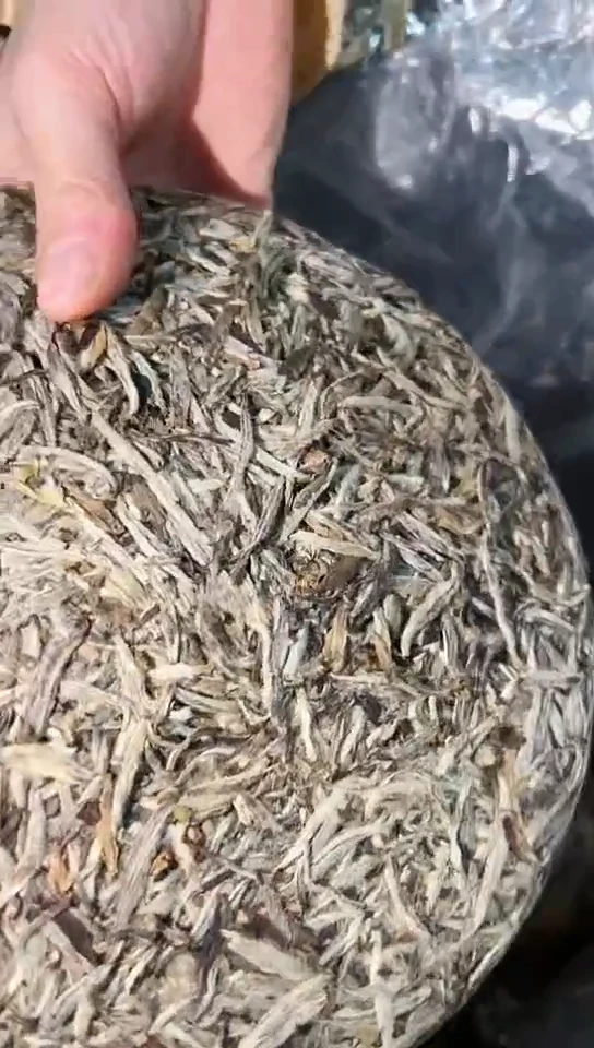 线香非常老的白毫银针290g