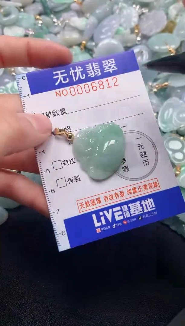 颈饰未镶嵌翡翠6812