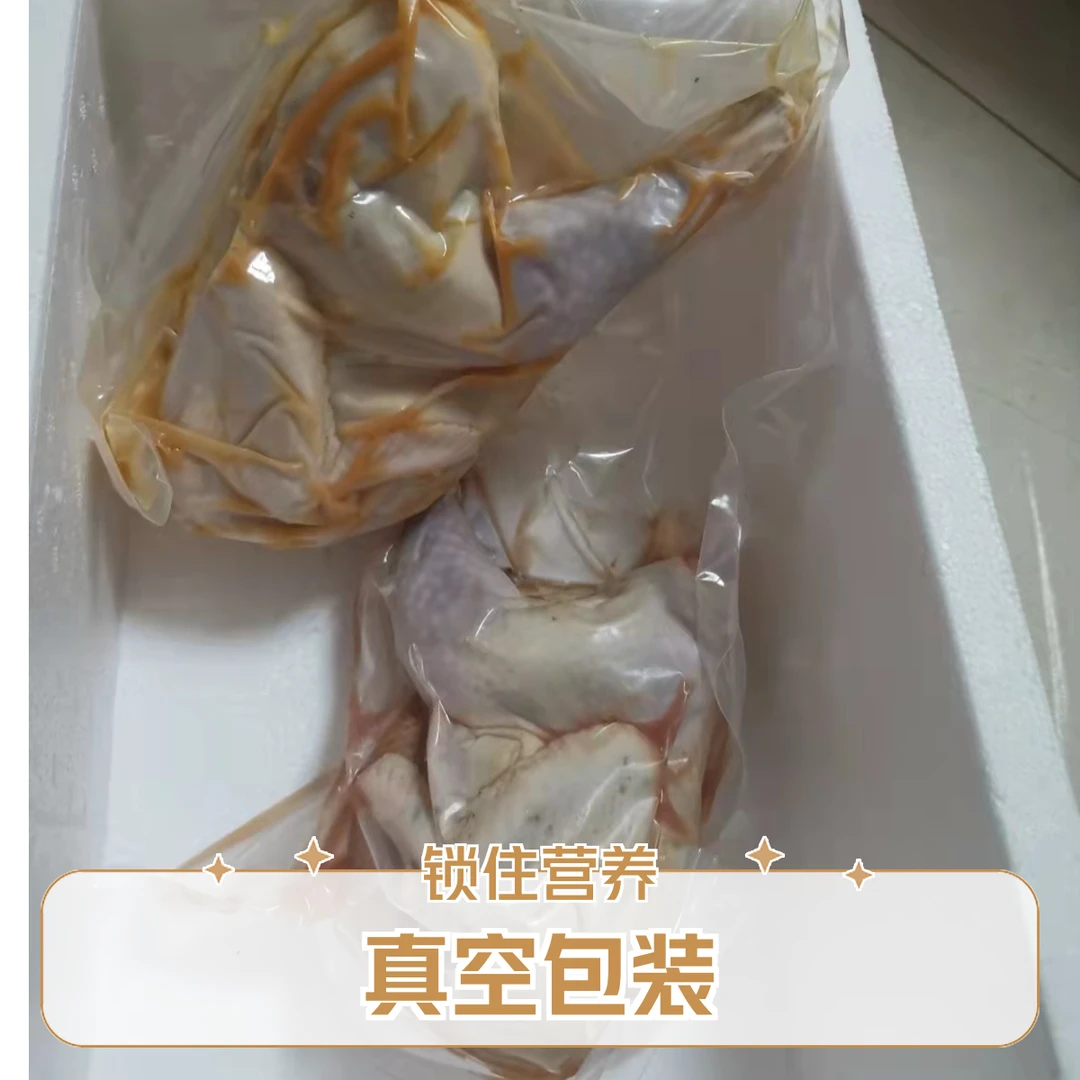 汶上芦花鸡童子鸡拍一发三