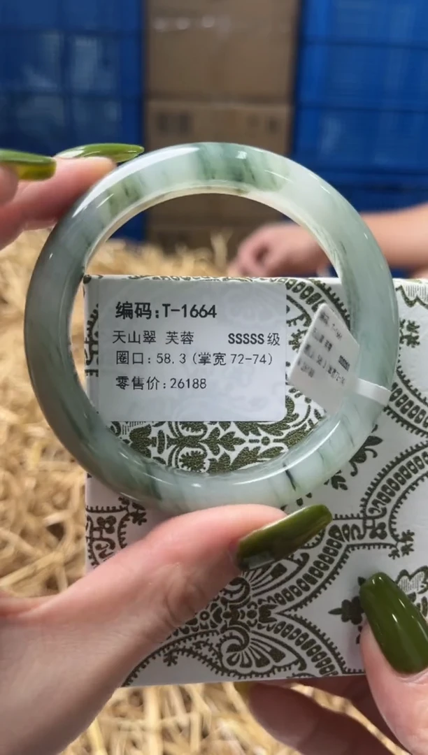 未镶嵌手镯石英质玉T1664