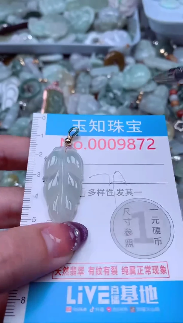 翡翠未镶嵌吊坠(不含链)9872