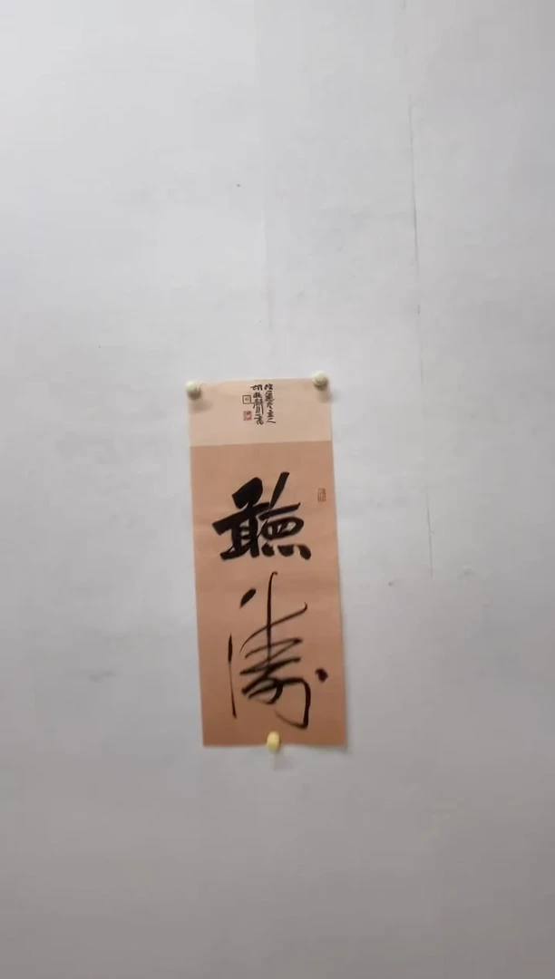 书法书法胡秋声老师绘画作品