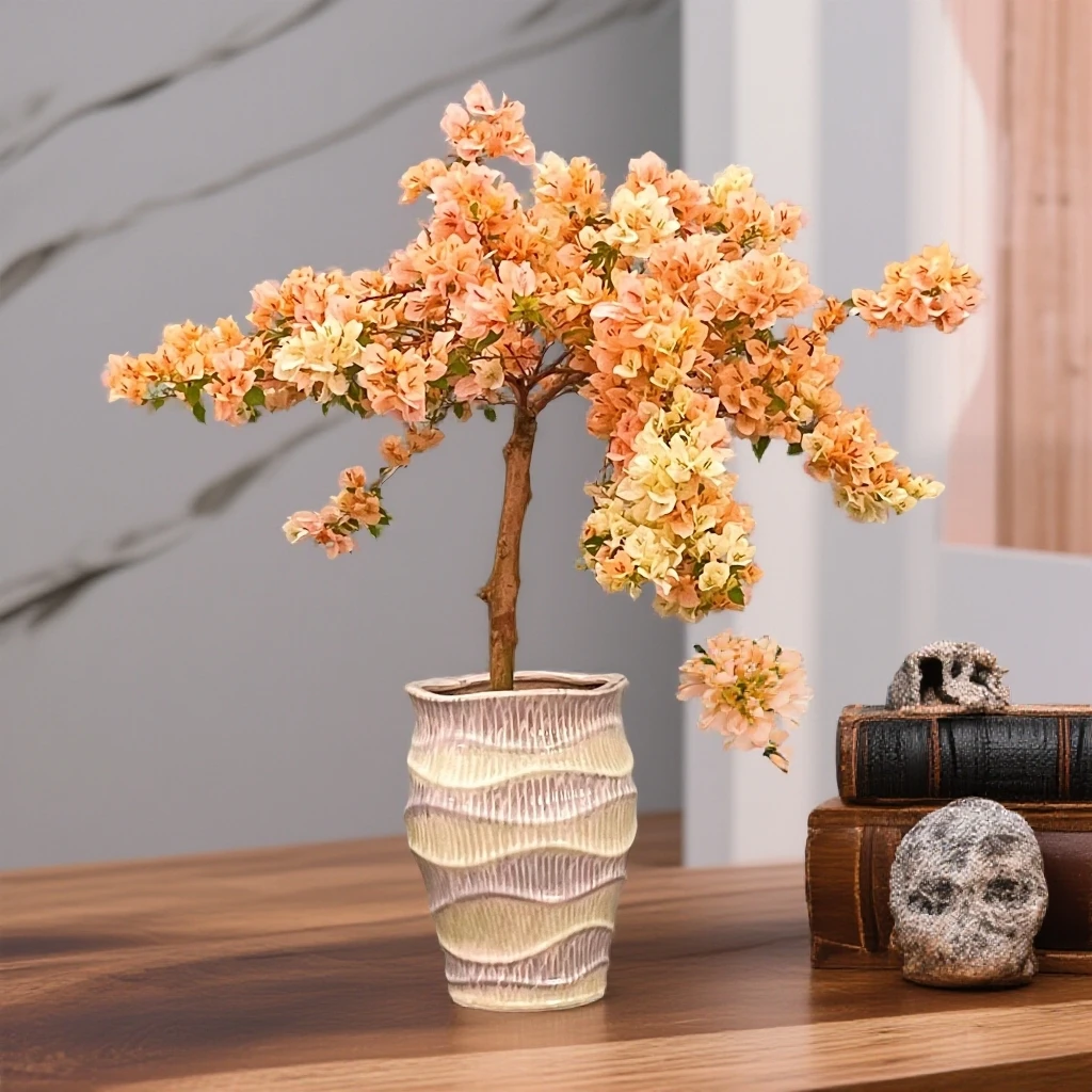 【艺景园海燕】金心黄白高飘三角梅盆景老桩侧飘勤花好养