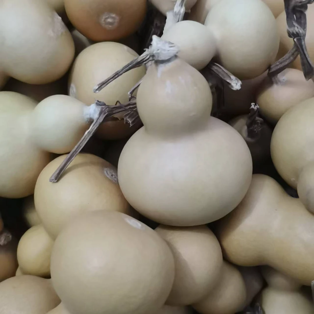 葫芦链接（联系客服勿拍）一物一拍.自己拍随机发