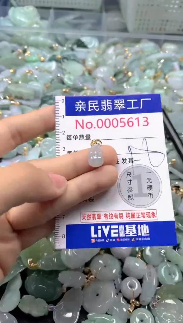 吊坠(不含链)未镶嵌翡翠5613